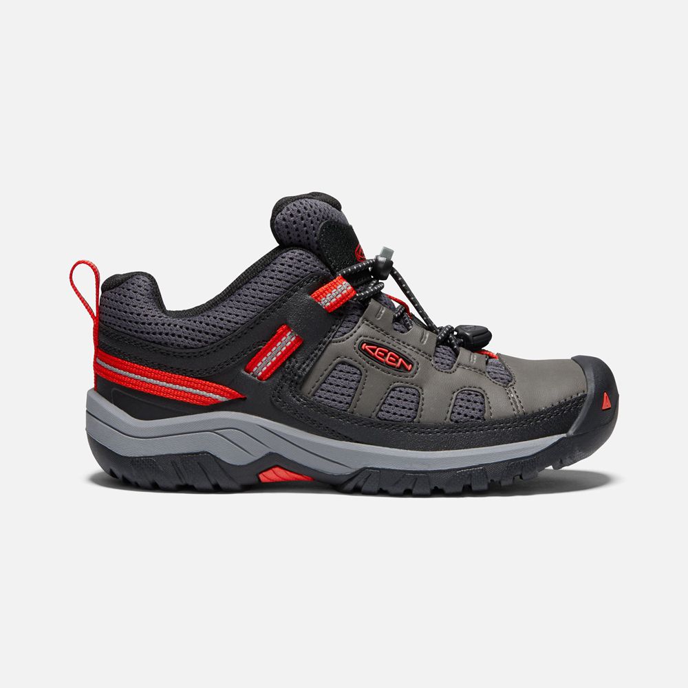 Zapatos de Seguridad Keen Mexico Grises - Niños Targhee - NQ9736851